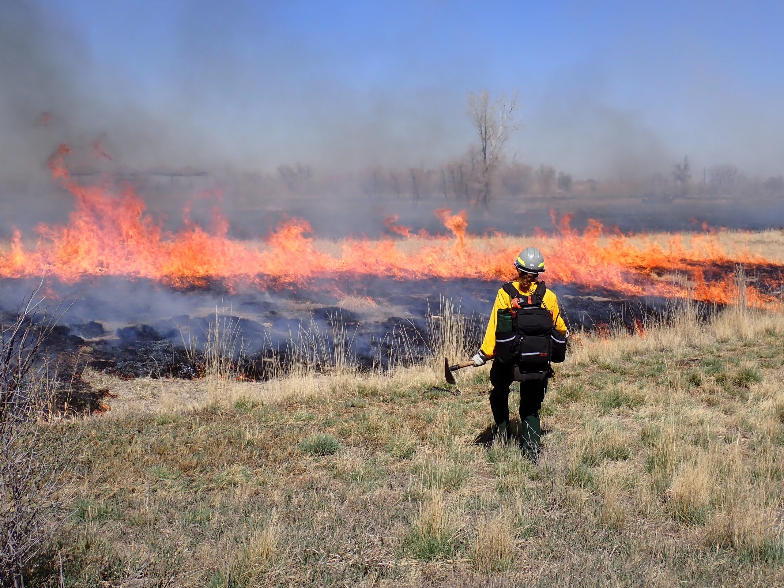 Prescribed Fire Operations - The Ember Alliance